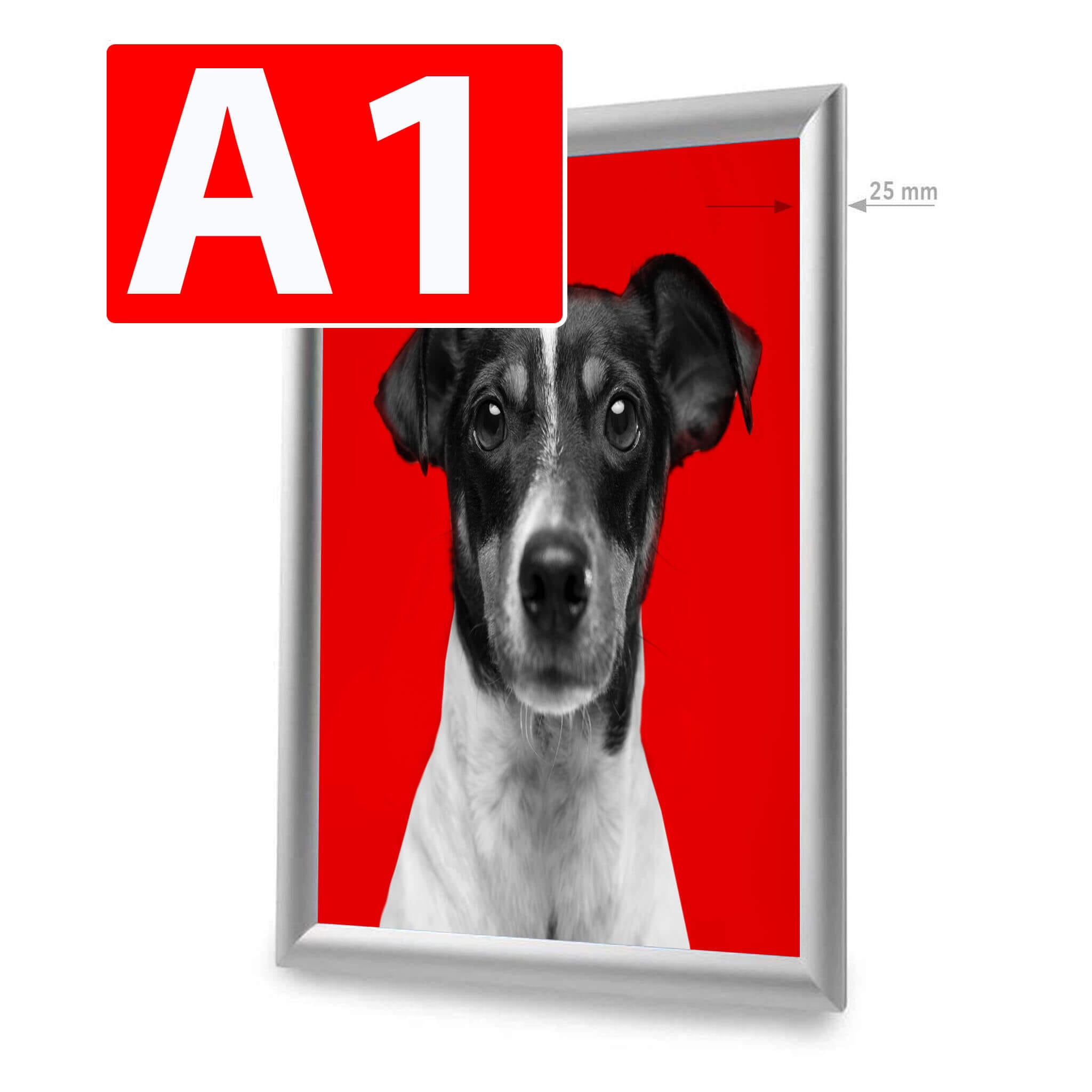 Click Frame PrintCenter.ro Shop A1 