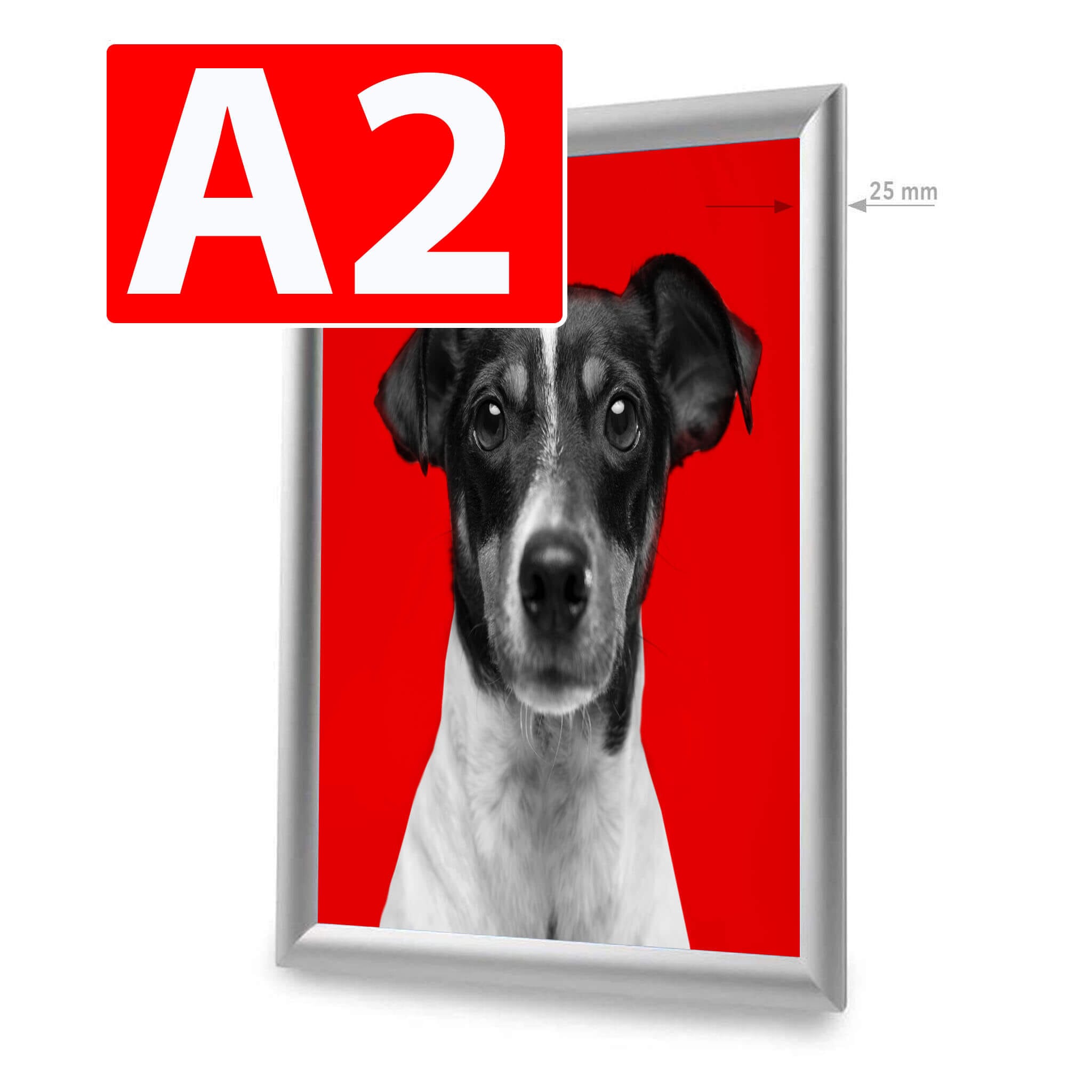 Click Frame PrintCenter.ro Shop A2 