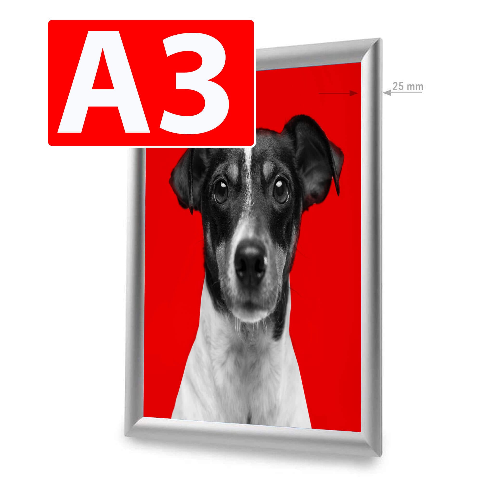 Click Frame PrintCenter.ro Shop A3 