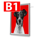 Click Frame PrintCenter.ro Shop B1 